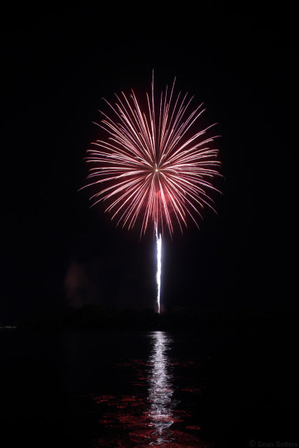 Savannah Fireworks Single Frame