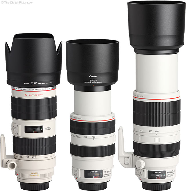 Canon EF 100-400mm f/4.5-5.6L IS II USM Lens Review