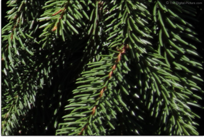 Canon EF-S 35mm f/2.8 Macro IS STM Lens Corner Sharpness Comparison Example