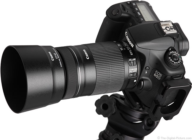 Canon Ef S 55 250mm F 4 5 6 Is Stm Lens Review