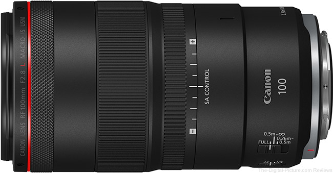 Canon RF 100mm F2.8 L Macro IS USM Lens Review