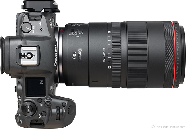 Canon RF 100mm F2.8 L Macro IS USM Lens Review