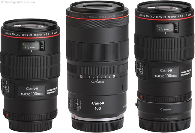 Canon RF 100mm F2.8 L Macro IS USM Lens Review