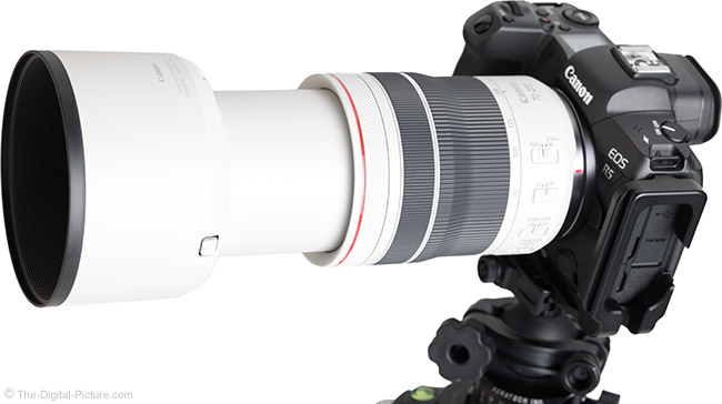 Canon RF 70-200mm F4 L IS USM Lens Review