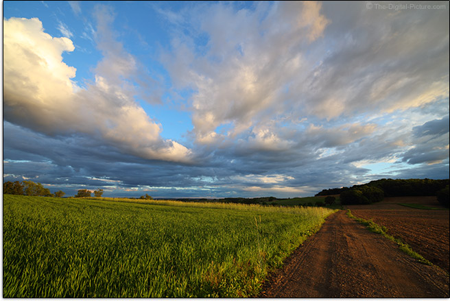 rokinon 14mm f2 4