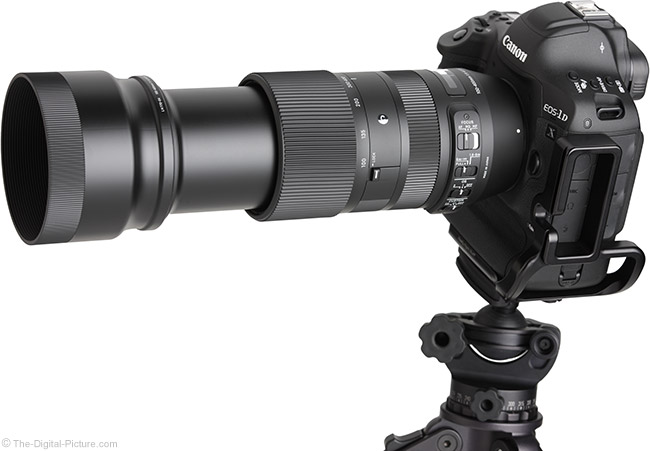 Sigma 100-400mm f/5-6.3 DG OS HSM C Lens Review