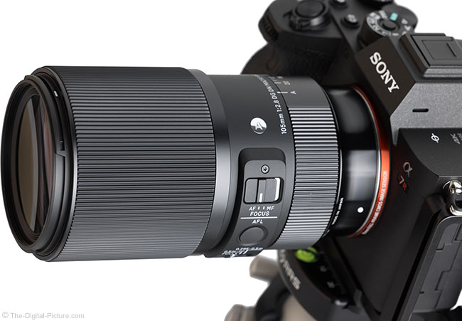 Sigma 105mm f/2.8 DG DN Macro Art Lens Review