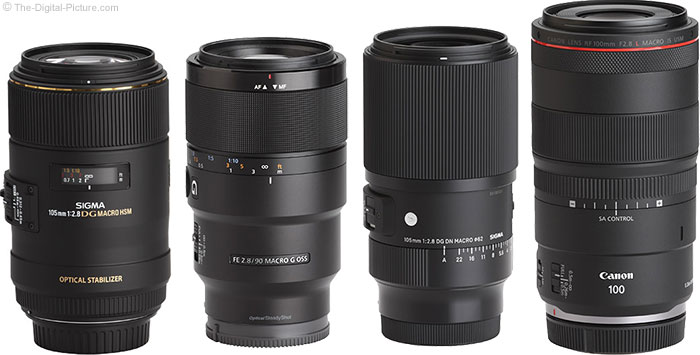 Sigma 105mm f/2.8 DG DN Macro Art Lens Review