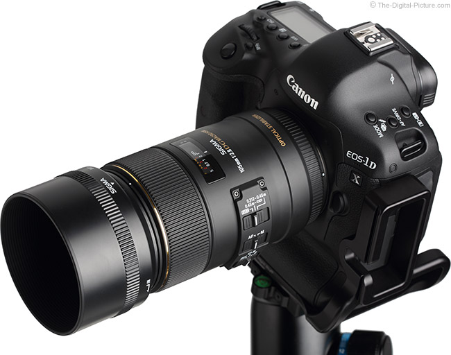 Sigma 105mm f/2.8 EX DG OS HSM Macro Lens Review