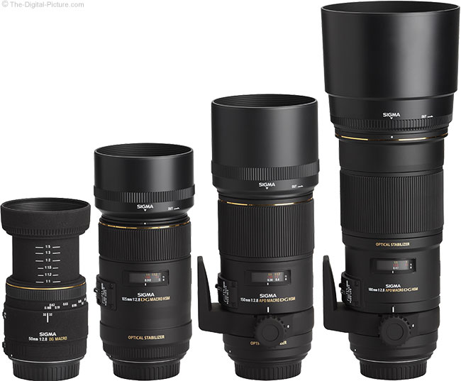 Sigma Macro Lenses with Hoods Compared