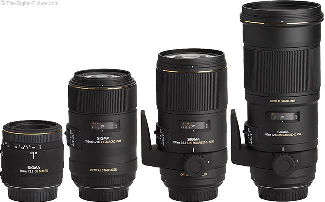 Sigma Macro Lenses Compared