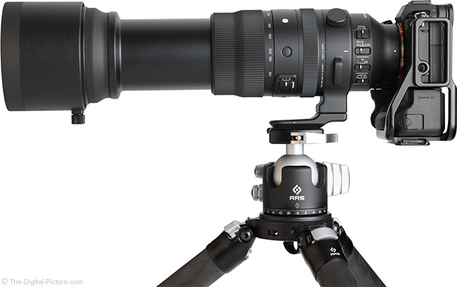 Sigma 150-600mm f/5-6.3 DG DN OS Sports Lens Review