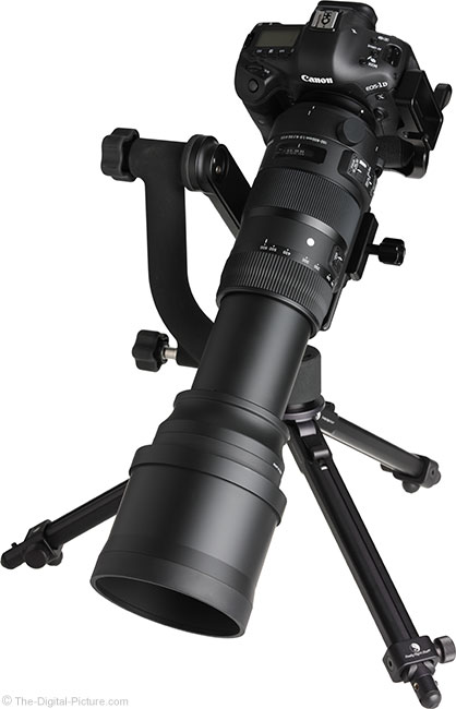 Sigma 150-600mm f/5-6.3 DG OS HSM Sports Lens Review