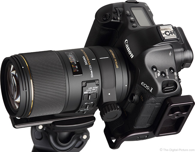 Sigma 150mm f/2.8 EX DG OS HSM Macro Lens Review