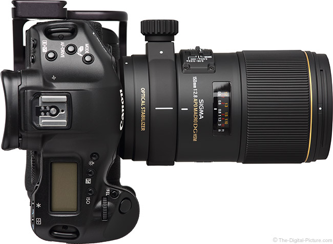 Sigma 150mm f/2.8 EX DG OS HSM Macro Lens Review