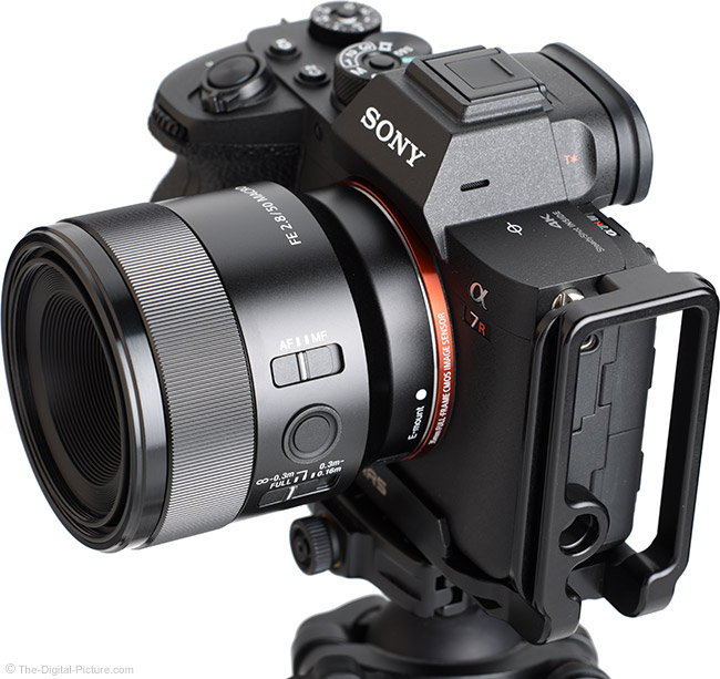 SONY マクロレンズ FE50 F2.8 美品