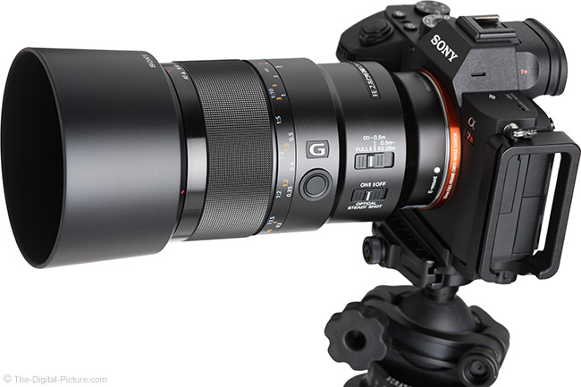 Sony FE 90mm F2.8 Macro G OSS Lens Review