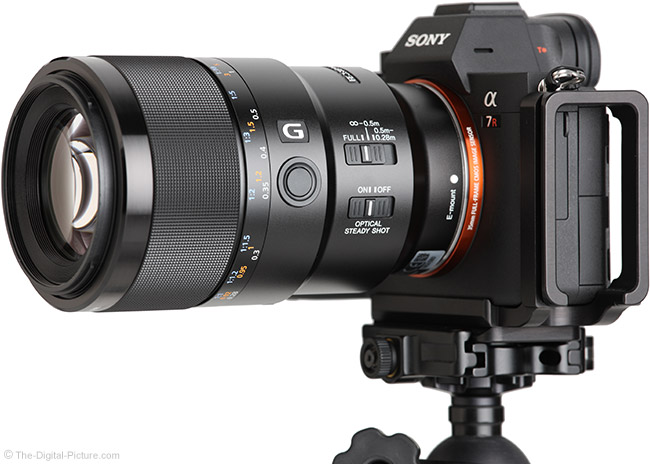 Sony FE 90mm F2.8 Macro G OSS Lens Review