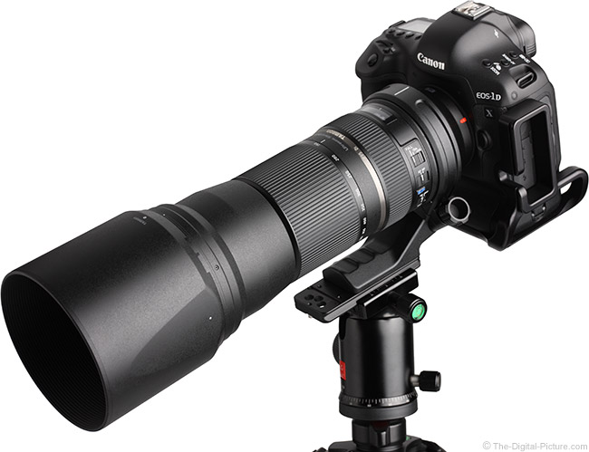 Tamron 150-600mm f/ Di VC USD Lens Review