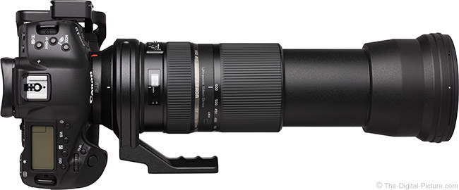 Tamron 150-600mm f/5-6.3 Di VC USD Lens Review