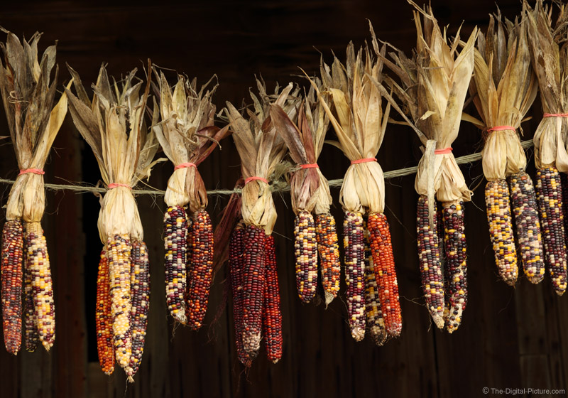 Drying the Corn