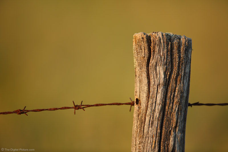 Old Fence Post and Rusty Barbed Wire