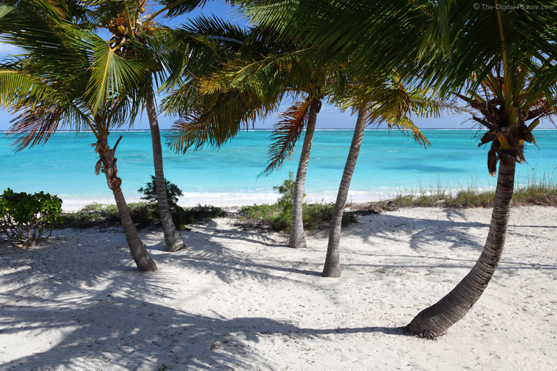 Where You Want to Be, North Caicos, Turks and Caicos
